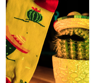 Sombrero und Kaktus Mix and Match Socken