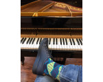 Colorful socks - Źródliska 14m2
