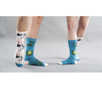 Störche und Frösche - Mix & Match Socken