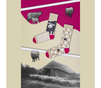 Funny Takapara socks with sheep - collage